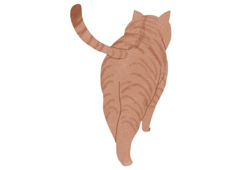 Illustration, cat, walk, rear view, 