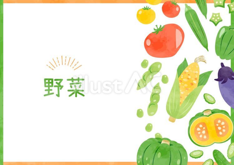 新鮮な夏野菜のフレームイラスト 野菜,夏,食べ物のイラスト素材