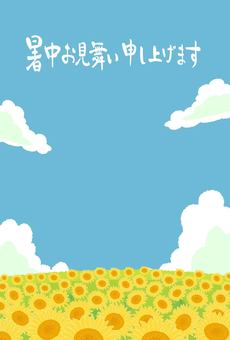 暑中お見舞い　ひまわり畑と入道雲 暑中お見舞い,ひまわり,空,夏,雲,7月,8月,ひまわり畑,入道雲,青空のイラスト素材