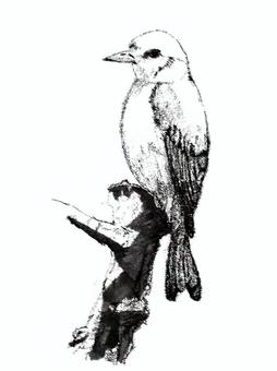 動物３ 動物,鳥,小鳥,自然,モノクロ,手描きのイラスト素材