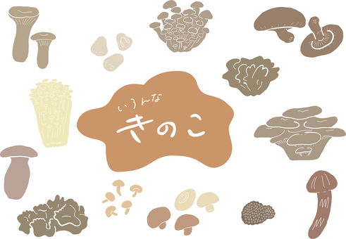 いろんなきのこ＿影カラー きのこ,エリンギ,フクロタケ,しめじ,まいたけ,椎茸,えのき,ポルチーニ,キクラゲ,なめこのイラスト素材