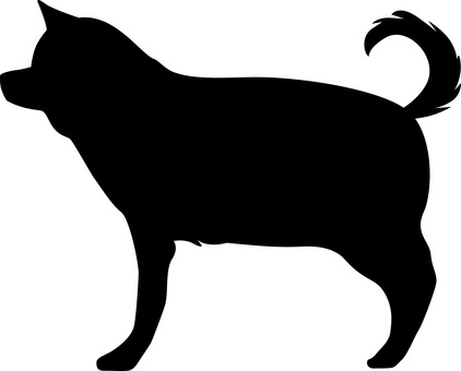 犬シルエット 犬,ペット,雑種,かわいい,横向き,成犬,シルエットのイラスト素材