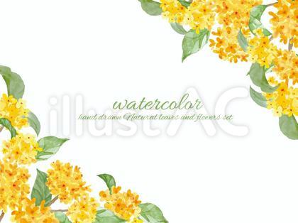 キンモクセイの花のフレームセット