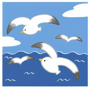 海鷗 海鷗