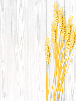 黄金色の麦穂と板の背景　mugi021 麦穂,黄金色,リアル,ナチュラル,お洒落,自然,植物,大人っぽい,枠,背景のイラスト素材