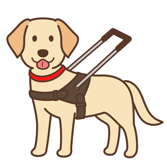 盲導犬１ 犬,盲導犬,介助犬,ラブラドールレトリバー,ペット,かわいい,大型犬,犬種,ワンポイント,ポップのイラスト素材