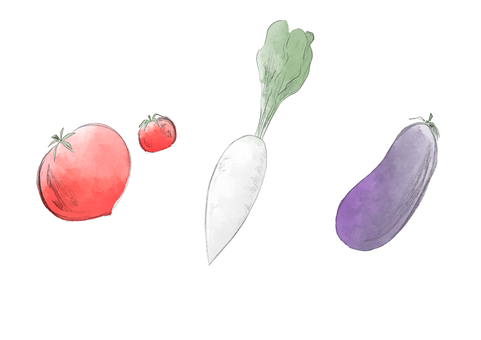 野菜イラスト1 野菜,トマト,大根,なす,ダイコン,茄子,だいこん,鉛筆風,水彩,食材のイラスト素材