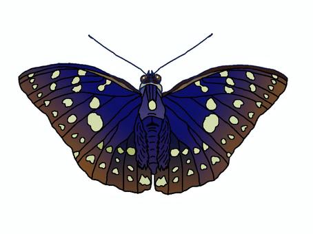 Oomurasaki, JPG and PNG Oomurasaki, oomurasaki, butterfly, national butterfly, JPG and PNG