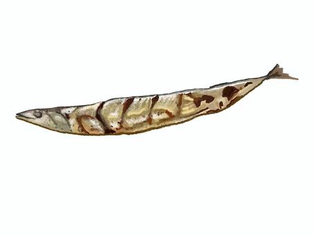 さんまの塩焼き（単品1） 秋刀魚,塩焼き,サンマ,焼サンマ,焼さんま,焼きさんま,焼きサンマ,焼き秋刀魚,焼き魚,焼魚のイラスト素材