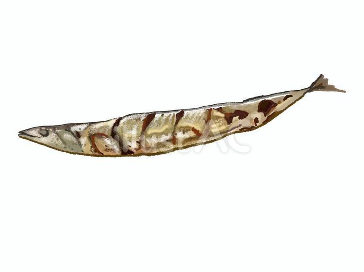 さんまの塩焼き（単品1） 秋刀魚,塩焼き,サンマのイラスト素材