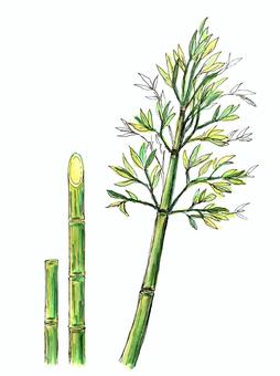 Illustration, bamboo, plant, leaf, 