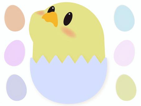 黄色ひよこと卵の殻 ひよこ,黄色,卵,たまご,殻,キャラクター,かわいい,動物,鳥,赤ちゃんのイラスト素材