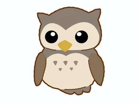 フクロウ　主線有 梟,鳥,生き物,羽,目,くちばし,主線のイラスト素材