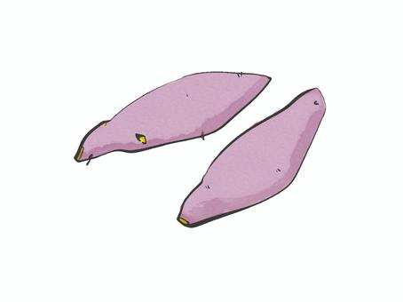 さつま芋 さつま芋,植物,食べ物,炭水化物,栽培のイラスト素材