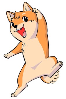 Shiba inu, dog, shiba inu, animal, JPG