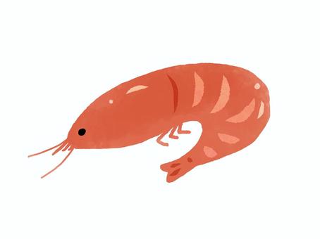 えびのうま煮 エビ,おせち,おせち料理,お正月,正月料理,うま煮,有頭海老,1個,赤のイラスト素材