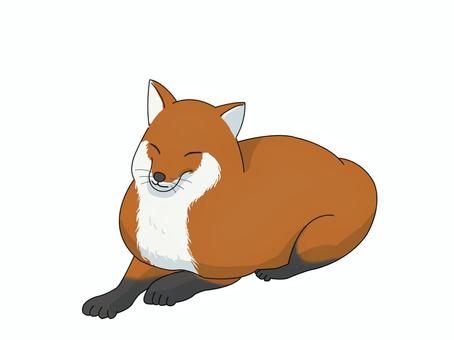 Illustration, uma raposa, raposas vermelhas, animal, 