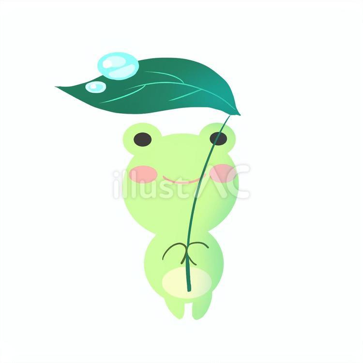 葉っぱ持ちカエル カエル,蓮の葉,葉っぱのイラスト素材