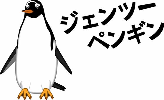 ジェンツーペンギン　 ジェンツーペンギン,鳥類,外国,寒い,北極,かわいい,正面,カタカナのイラスト素材