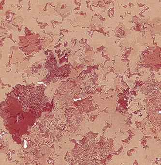 Reddish brown roughness, JPG Reddish brown roughness, reddish brown, background, texture, JPG
