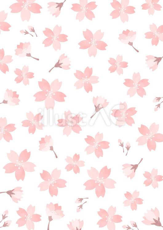 可愛い桜の花の背景イラスト 春,桜,背景のイラスト素材