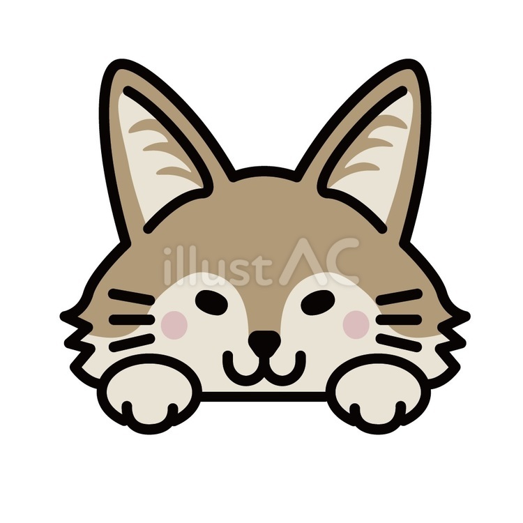 コヨーテ コヨーテ,動物,野生のイラスト素材