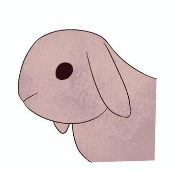 うさぎ ウサギ,兎,動物,小動物,ペット,生き物,かわいい,癒し,手描き,イラストのイラスト素材