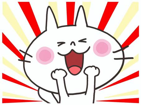 happy cat, happy cat, cat, be pleased, happy,
