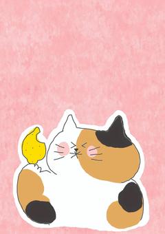 レモンを食べる三毛猫ちゃん レモンを食べる三毛猫ちゃん かわいい,レモン,果物,フルーツ,たべもの,酸っぱい,びっくり,衝撃,驚く,ねこのイラスト素材