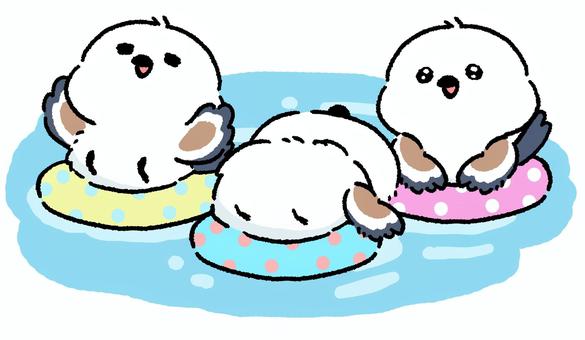 シマエナガ_プールで遊ぶ_03 シマエナガ,鳥,動物,手描き,ラフ,プール,海,夏休み,浮き輪,浮くのイラスト素材