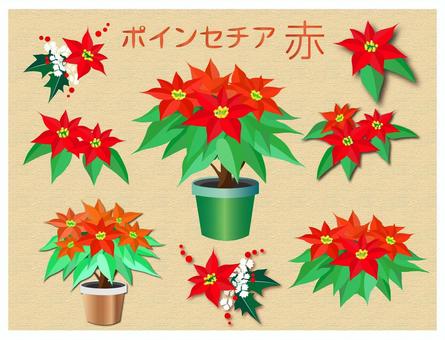 ポインセチア 赤 ポインセチア 赤 ポインセチア,赤,クリスマス,花,セット,素材,鉢植えのイラスト素材