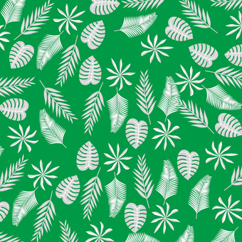 Illustration, leaf, southern country, fern plants, 