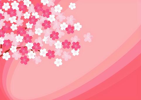 Illustration, cherry blossoms, spring, entrance ceremony, 