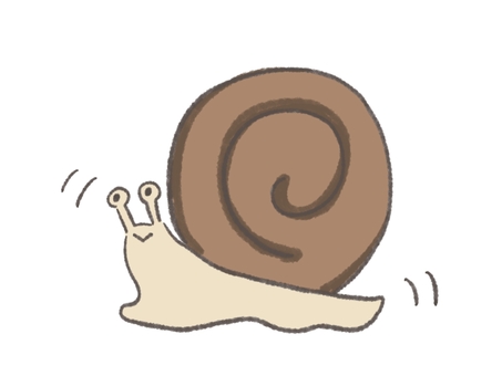 Illustration, snails, conch, rainy season, 