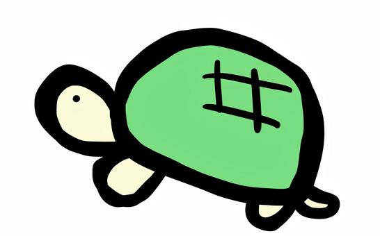 Illustration, turtle, summer, beach, JPG and PNG