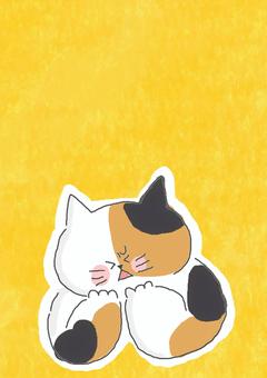 嫌がる三毛猫ちゃん 嫌がる三毛猫ちゃん かわいい,嫌,だめ,不満,不服,文句,禁止,怒る,怒り,ねこのイラスト素材