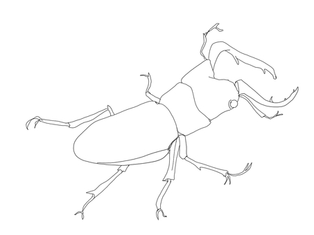 クワガタムシの全体図 クワガタ,昆虫,虫,生き物,ツノ,足,夏,自然観察,図鑑,モノクロのイラスト素材