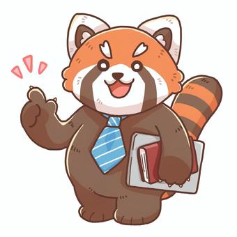 Illustration, lesser panda, mr, commentary, 