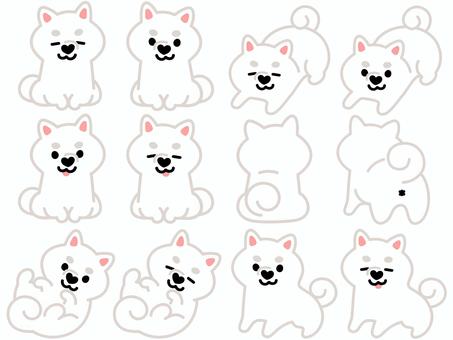 ハート鼻の柴犬（セット）5 柴犬,犬,動物,ハート,鼻,おすわり,ふせ,立つ,ゴロン,寝転がるのイラスト素材