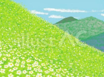 チングルマの山