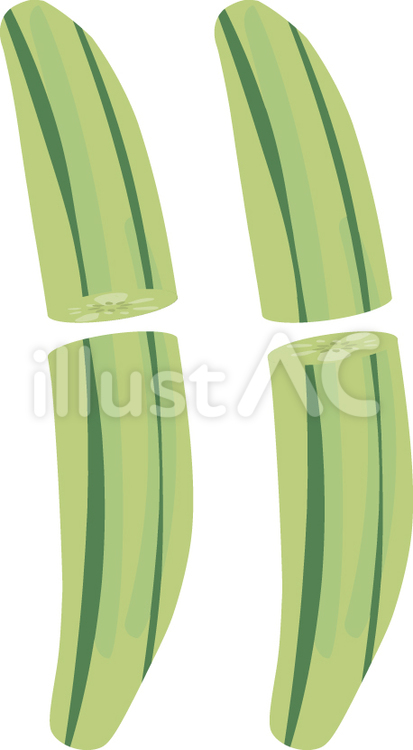 かわをむいたきゅうり きゅうり,野菜,ウリ科のイラスト素材