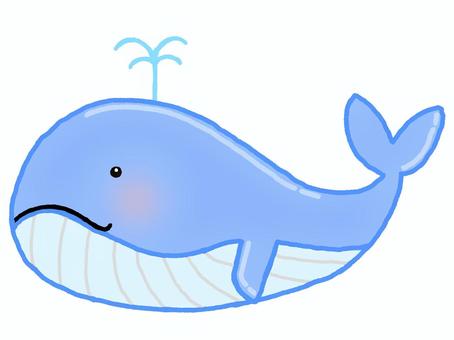 whale, , JPG and PNG