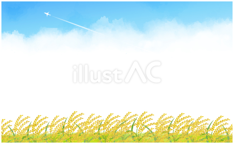 稲穂と青空の秋背景1 背景,フレーム,枠のイラスト素材