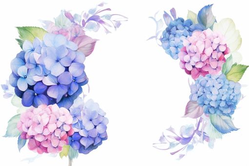 あじさい・イラスト・6月の梅雨 あじさい・イラスト・6月の梅雨 あじさい,花,青のイラスト素材