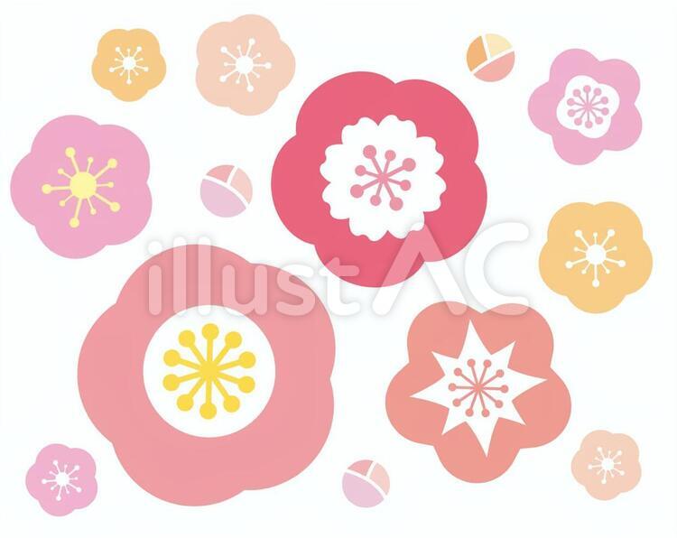 梅素材 2 梅,紅梅,花のイラスト素材