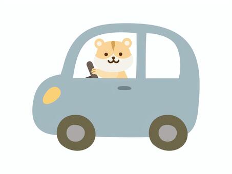 くるま_ハムスター_グレー 車,動物,ハムスター,運転,乗用車,普通車,軽自動車,自動車,乗り物,かわいいのイラスト素材