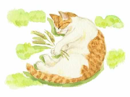 遊び疲れて寝ている猫さん 猫,手書き,水彩,挿絵,動物,可愛い,ペットのイラスト素材