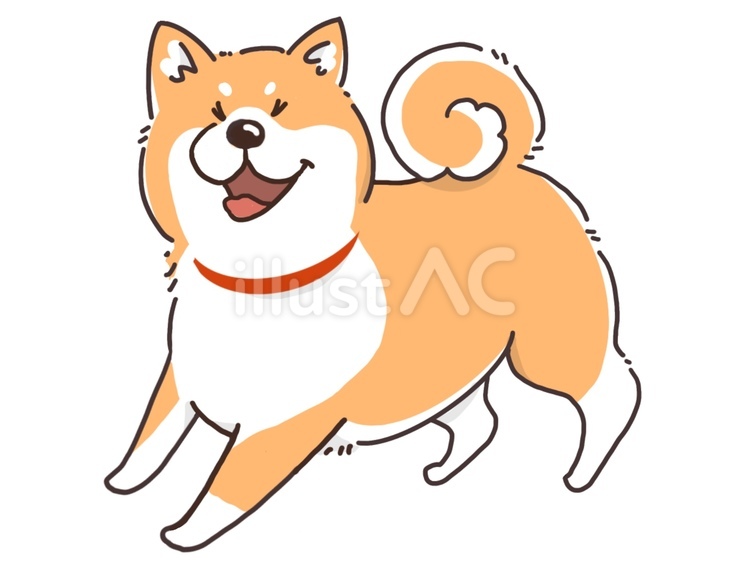 動物　犬（柴犬）おすわり 柴犬,子犬,犬のイラスト素材