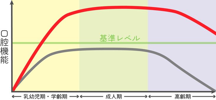 加齢による口腔機能の変化２ 歯科,口腔機能,加齢,変化,基準レベル,乳幼児期,学齢期,成人期,高齢期,維持のイラスト素材