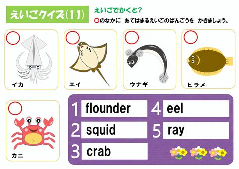 Illustration, quiz, english, squid, 